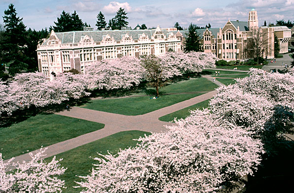 Đại học Washington Seattle